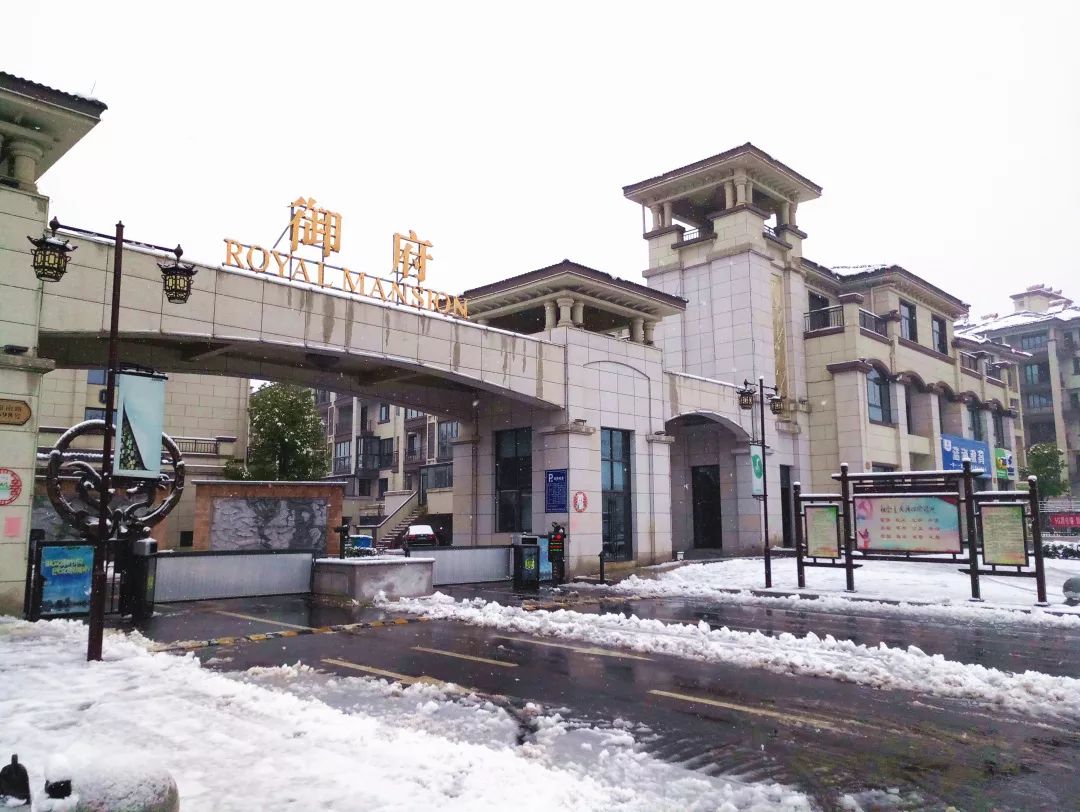 整个绿城·御府不小心全都"白了头",一夜之间,终于在2020年1月8日的