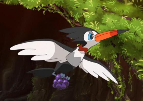 宝可梦图鉴732被周围的居民讨厌的宝可梦喇叭啄鸟