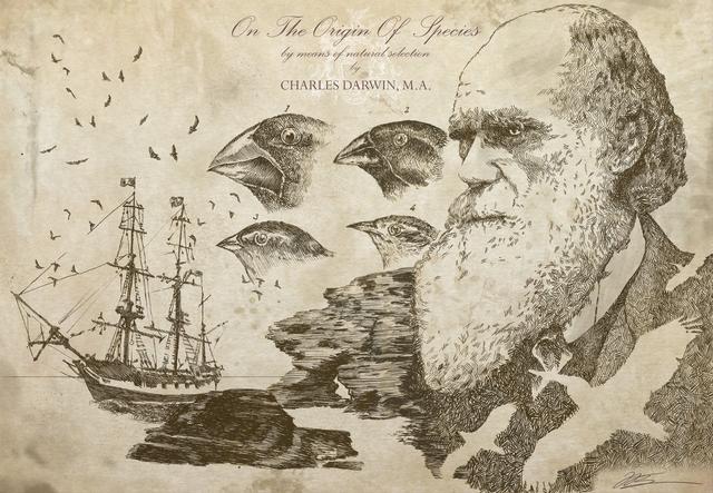 达尔文搭乘贝格尔号游历了很多地方有一些观点表示,现代人类拥有其他