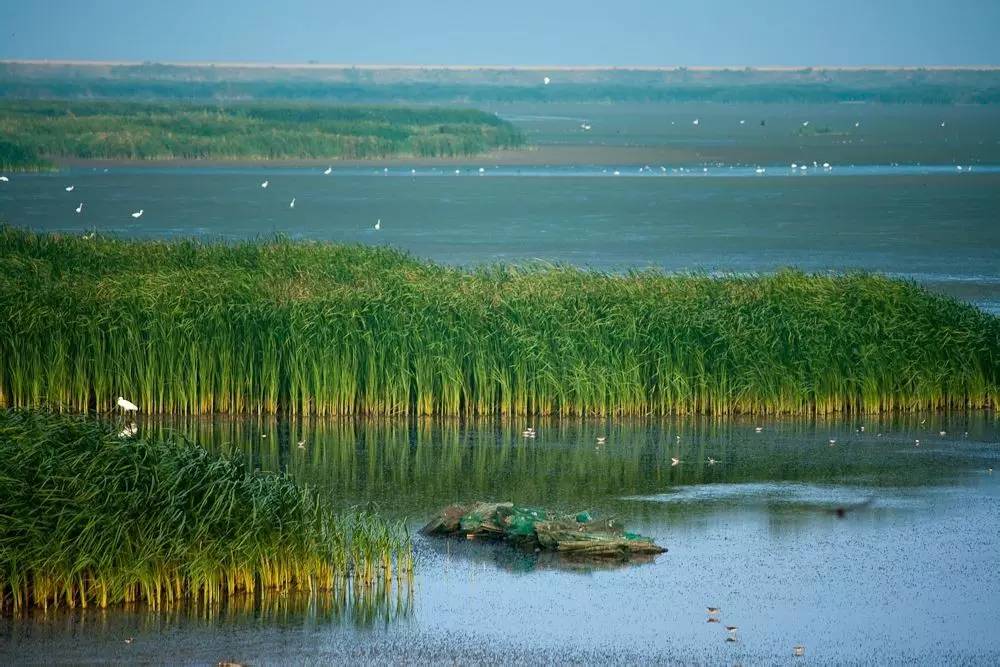 中国第三大岛每年都在扩大岛上分属两省三县管辖