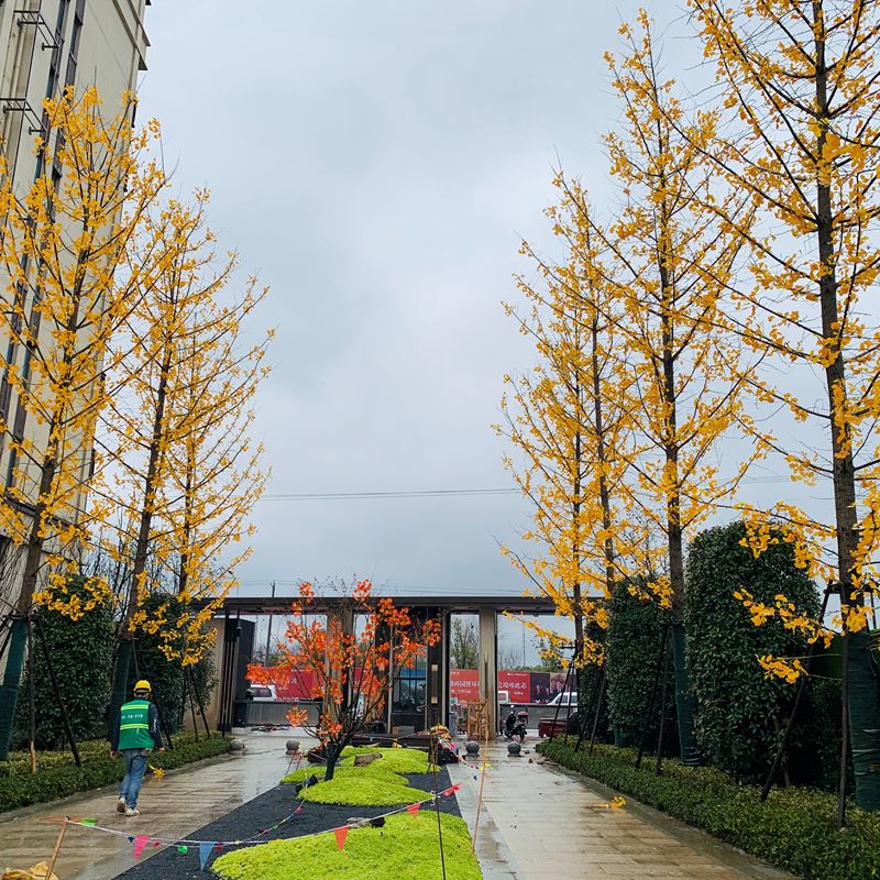 实探新站绿都少荃府月底交付实景抢先看业主整体不错