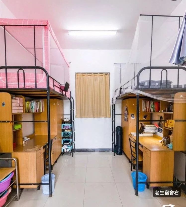 西安枫叶国际学校宿舍图片