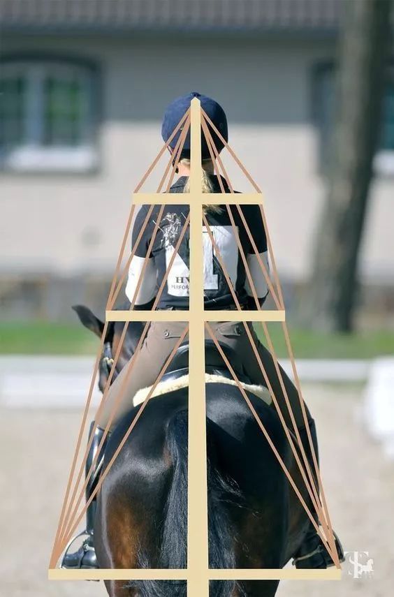 你的骑乘姿势可能错了跟着这篇文章重新检查一遍