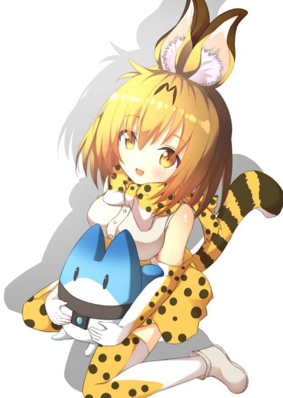 日媒公开2019年动画女性角色总选举排行榜祢豆子痛失冠军