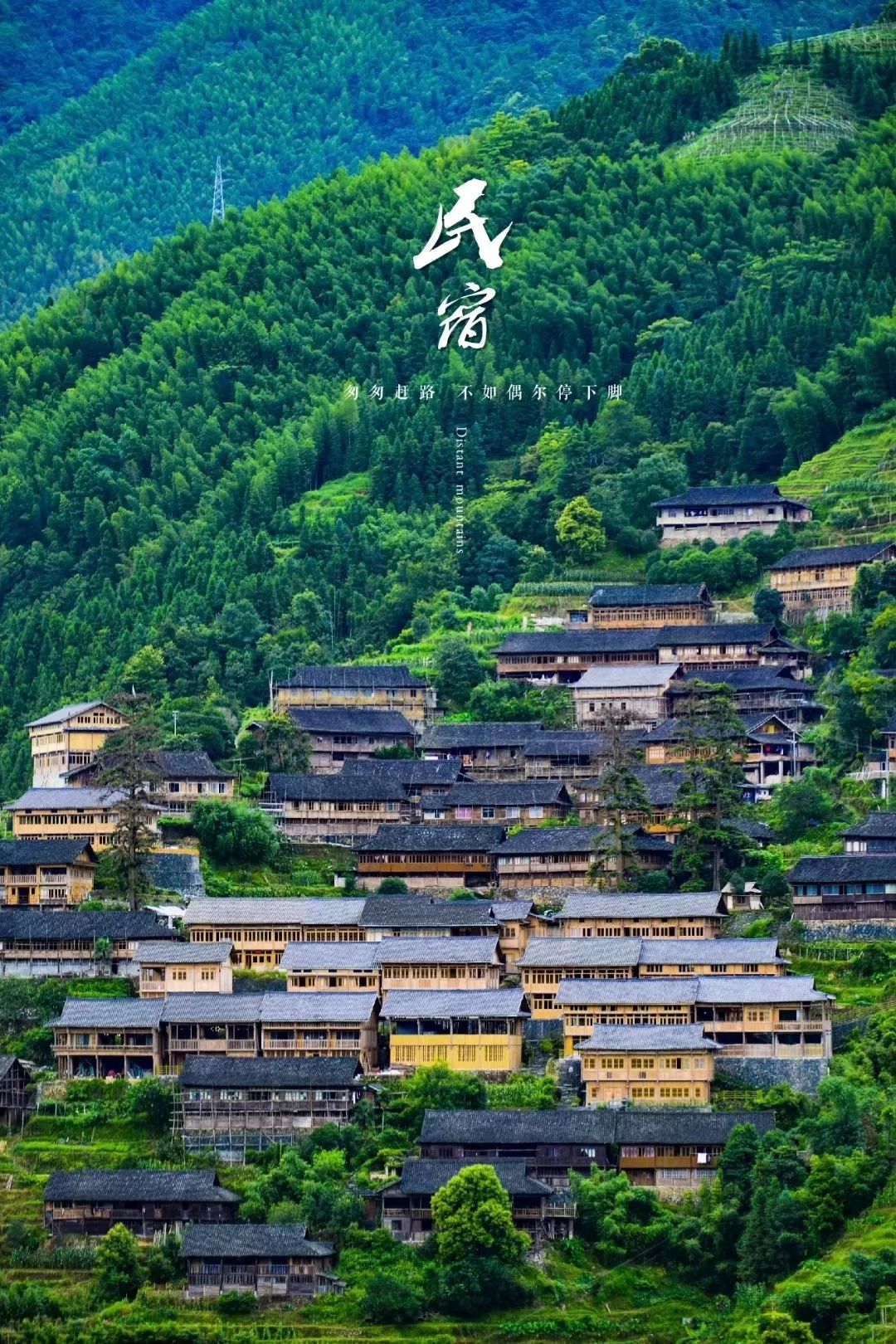 这一生我想与你在龙胜度过你可愿意