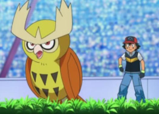 《宝可梦》历代都打酱油的猫头夜鹰,八代也是打酱油的命?