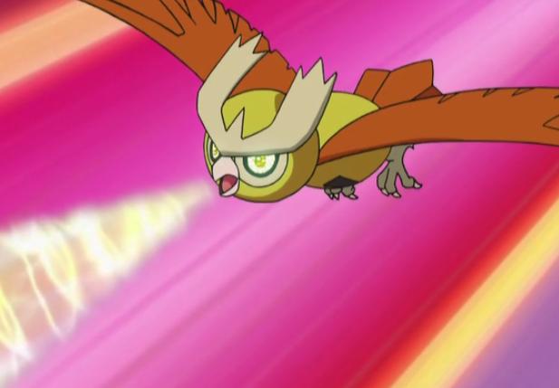 《宝可梦》历代都打酱油的猫头夜鹰,八代也是打酱油的命?