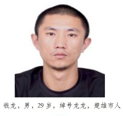 大快人心以速进林为首的涉恶犯罪团伙成员被依法逮捕楚雄市公安局公开