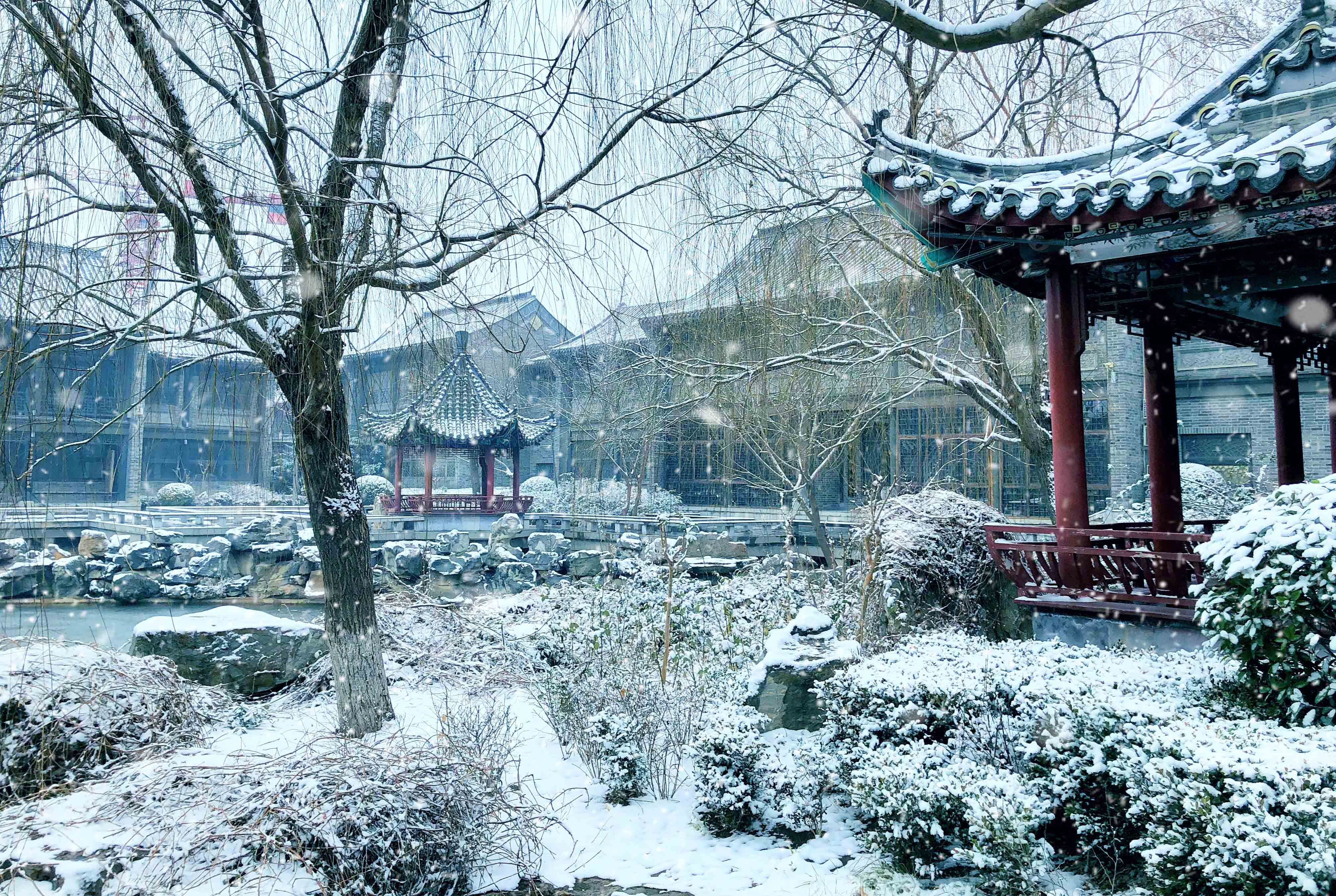 聊城雪景图片