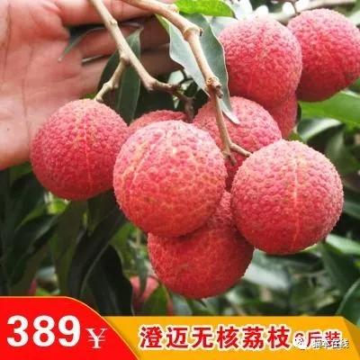 原创澳洲农民培育出首例无核荔枝终于可以大口吃荔枝不吐核儿了