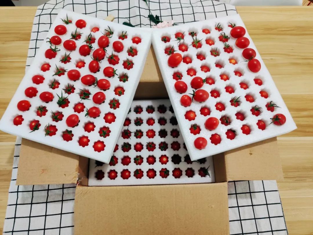 88元4斤千禧圣女果!一口爆汁!产地包邮直发!_水果