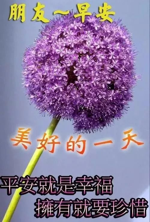 星期四最新漂亮早上好祝福問候語圖片臘月暖心的早上好動態表情圖片