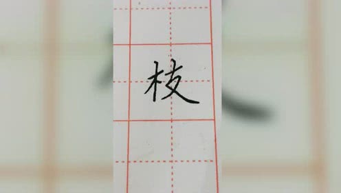 枝字楷书练习加油