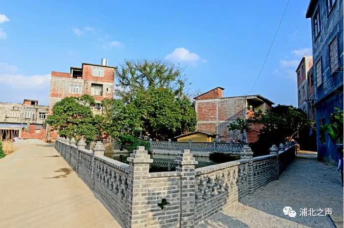 成效找差距查不足促提升|浦北开展乡村建设系列活动观摩拉练_白石水镇