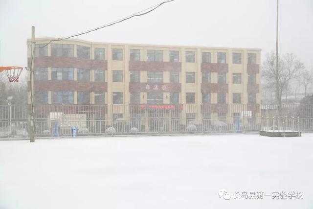 长岛第一实验学校：瑞雪满校园 行动暖人心(图2)