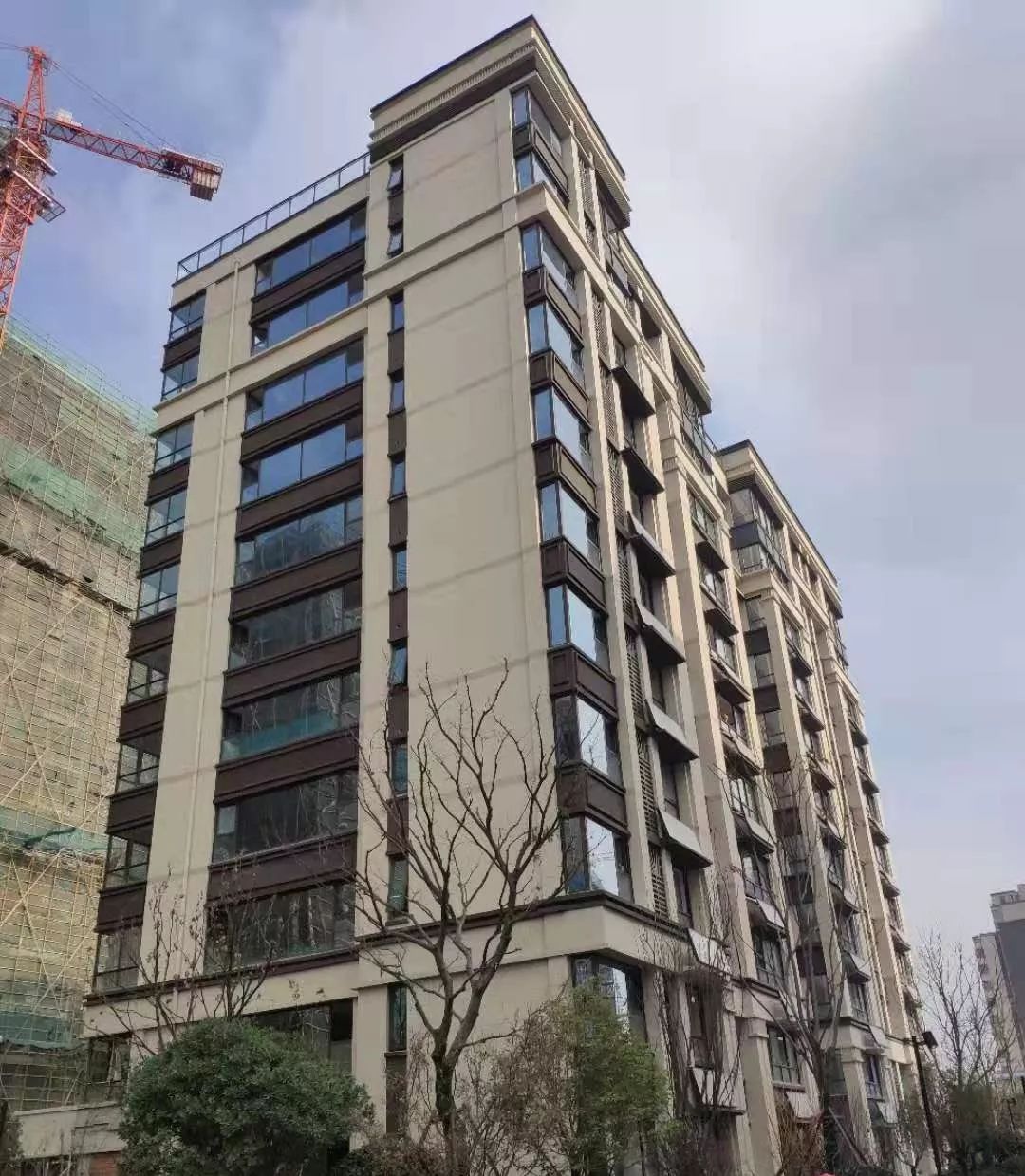 合肥业主们绿都少荃府十二月家书请查收