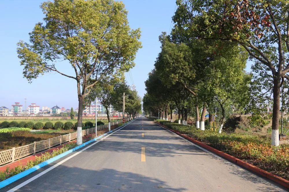 再传喜报靖江街道甘露村顺利通过美丽乡村区级验收