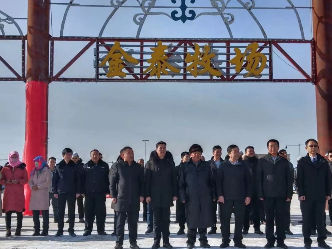 乌兰县金泰活畜交易市场揭牌营业仪式 顺利举行