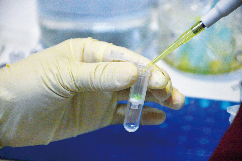 核酸提取纯化试剂盒全新上线