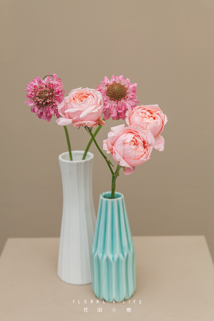 小花瓶的简约组合