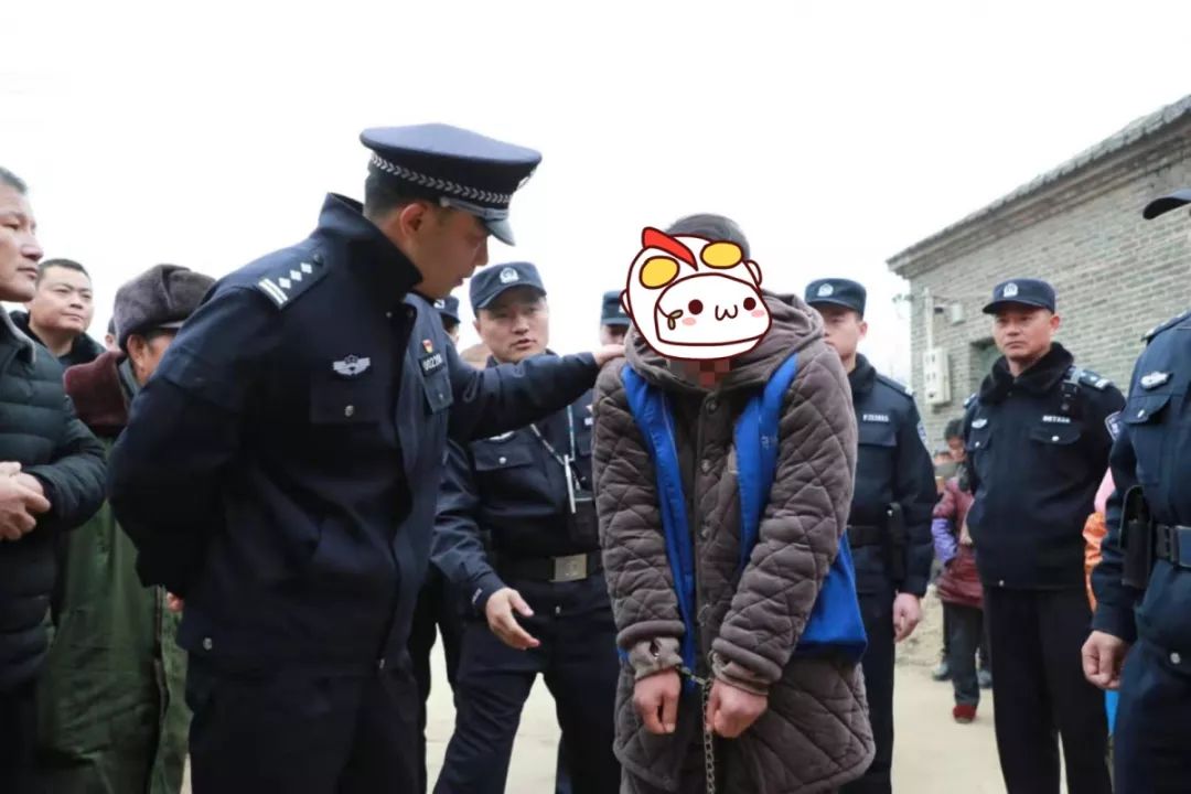 勿伸手伸手必被捉肥东警方破获盗窃家禽案