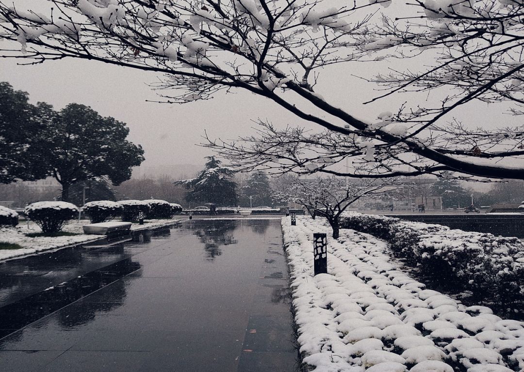 苏州大学雪景图片