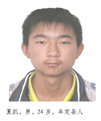 大快人心以速进林为首的涉恶犯罪团伙成员被依法逮捕楚雄市公安局公开