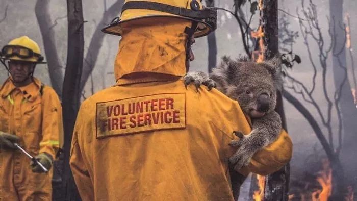 澳洲大火燃烧四个月，1岁儿子替消防员殉职父亲接受勋章