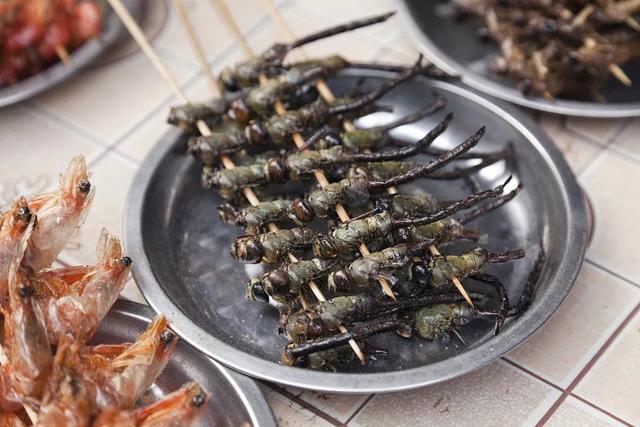 云南人吃虫我们是认真的