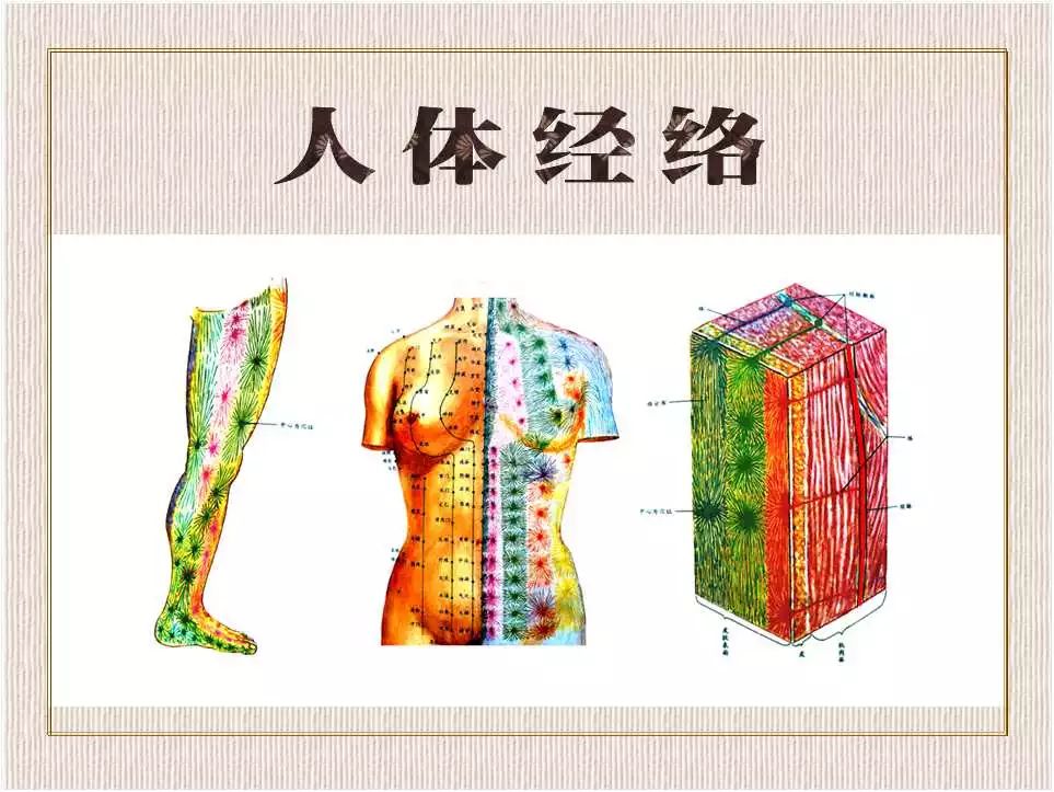 人體十四經絡阻塞後的症狀表現