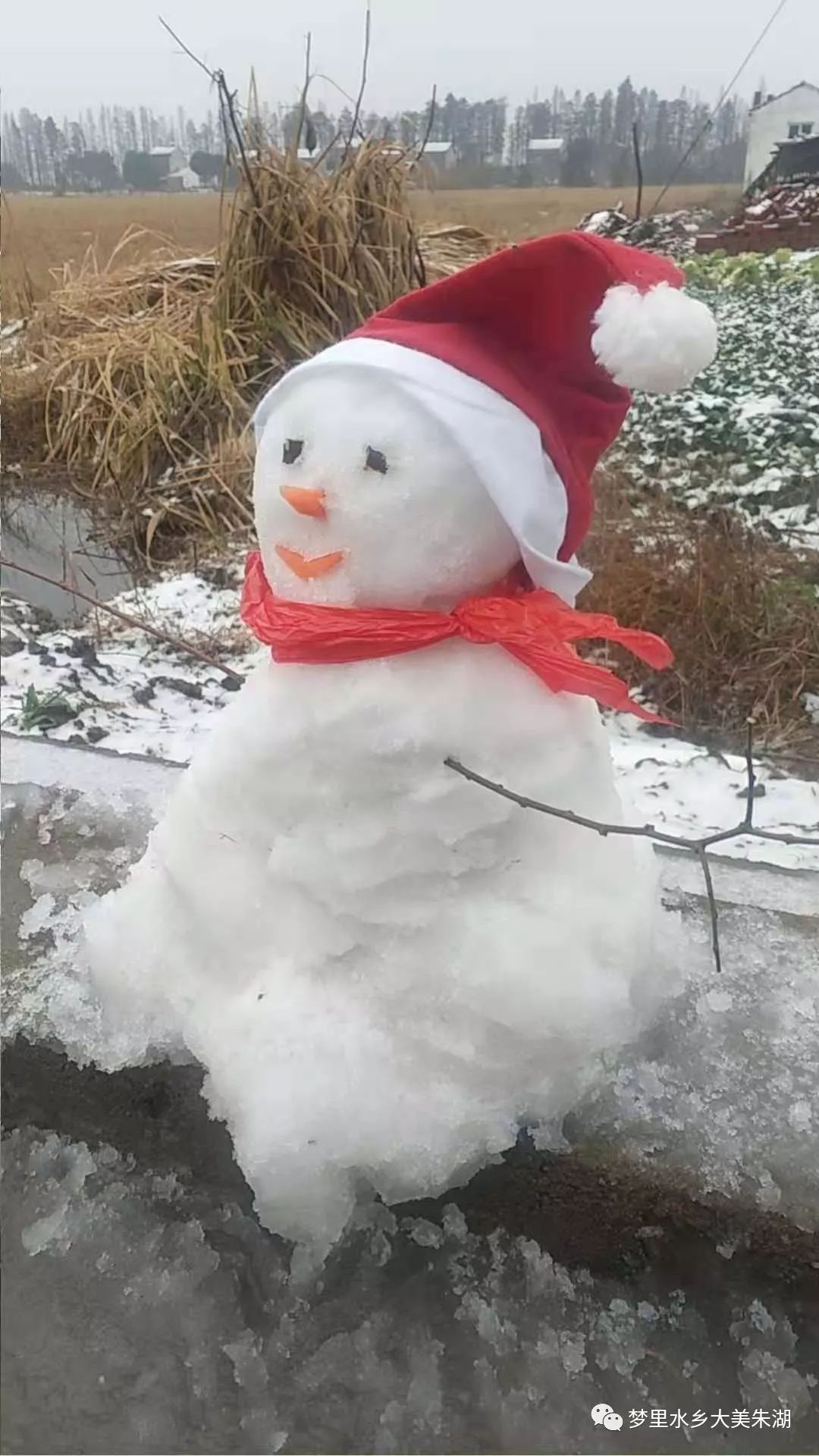 雪落朱湖,风情万种慢慢地成了棉花雪将嘎试是米粒雪意不意外?