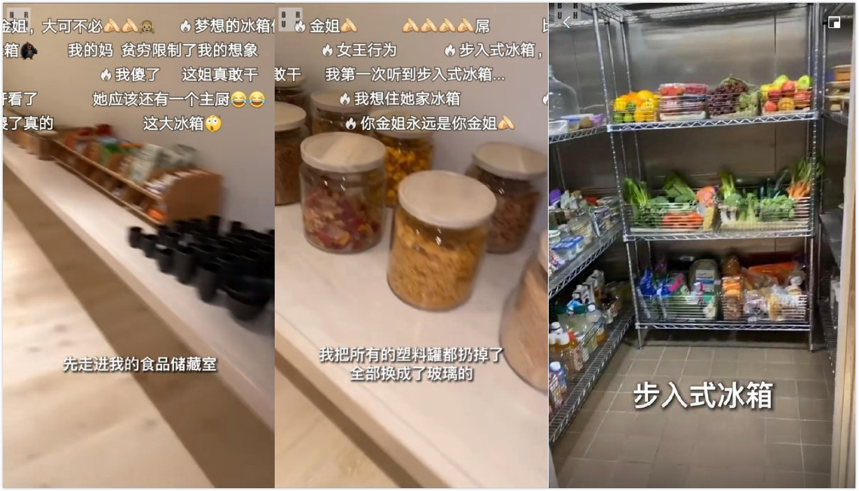 步入式冰箱什么样子图片