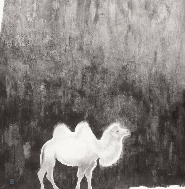 昆仑山地狱之门传说中的白骆驼真实再现