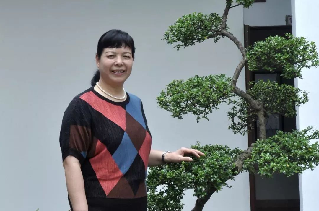 中南大学网络思政新做法"师者仁信",寄一封信笺的深厚情谊,品一位师者