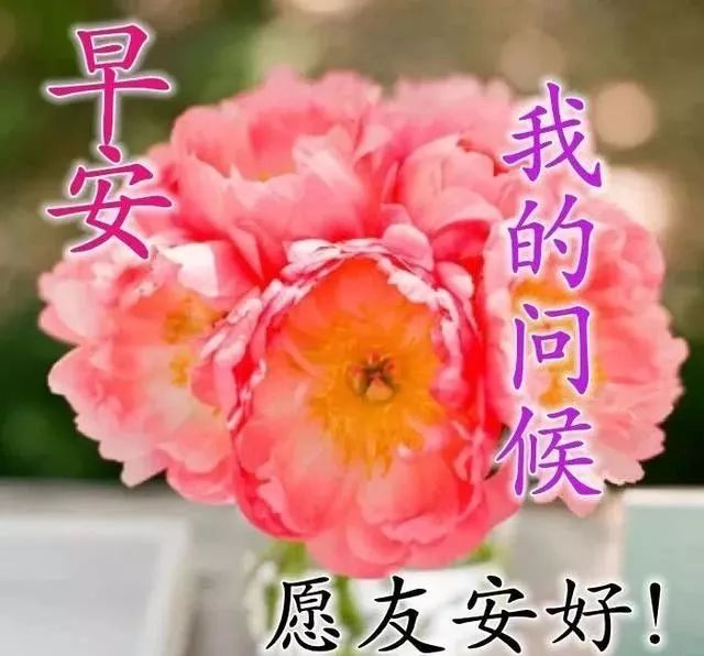 星期五最新漂亮早上好祝福问候语图片腊月暖心的早上好动态表情图片