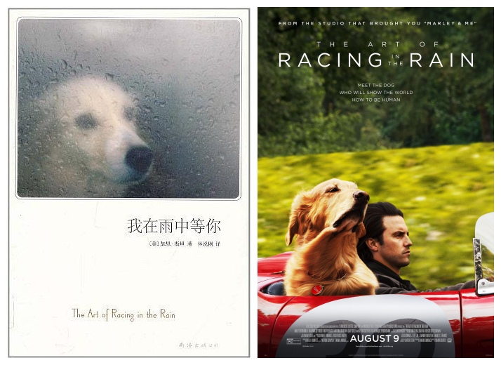 《我在雨中等你》又是一部畅销小说改编成电影.