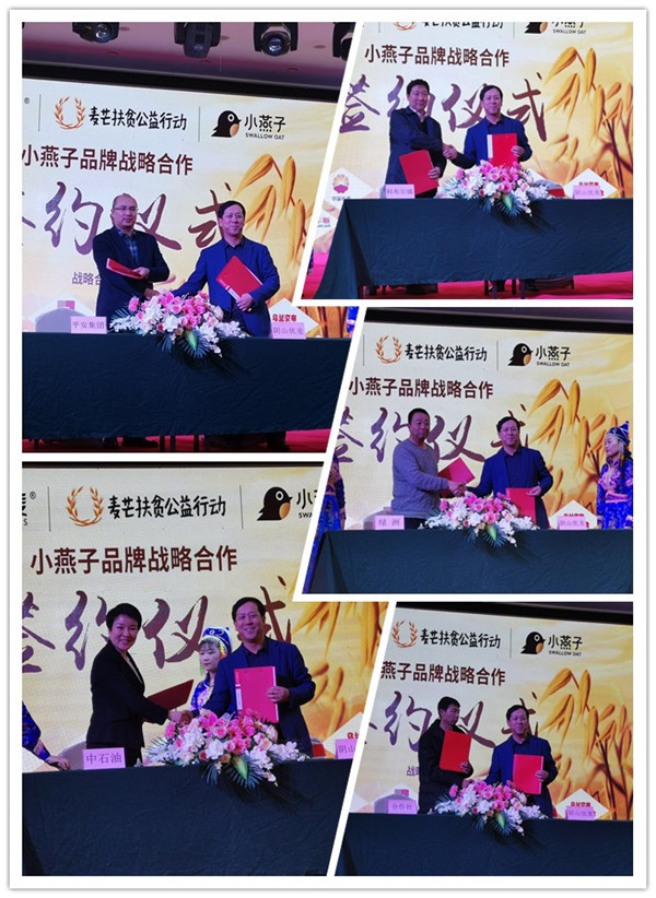 喜讯 阴山优麦“麦芒扶贫公益活动”成功举办_小燕子