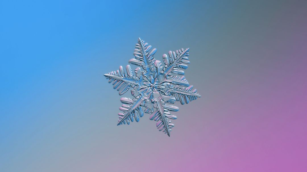 冬日的浪漫,雪国的灵感启示是无穷的_雪花