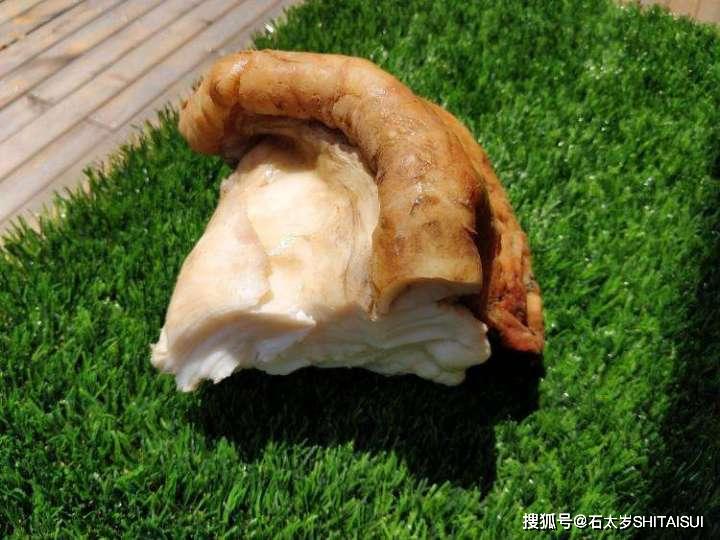 太岁"是何物,揭开太岁的神秘面纱