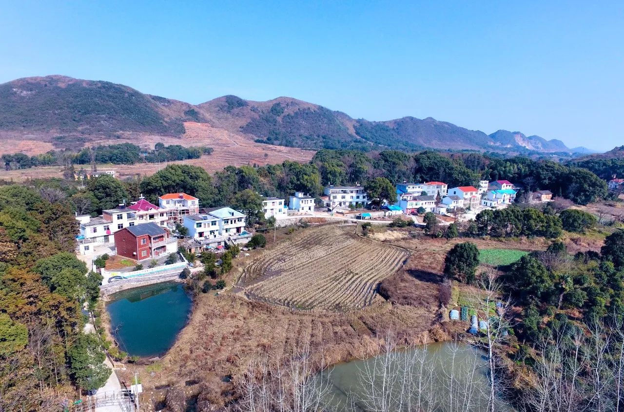 欢迎来柴桑区新塘乡看美丽的乡村