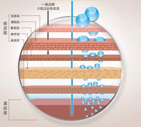 8大润肤成分全总结怪不得你的皮肤不好补水保湿你都没做对