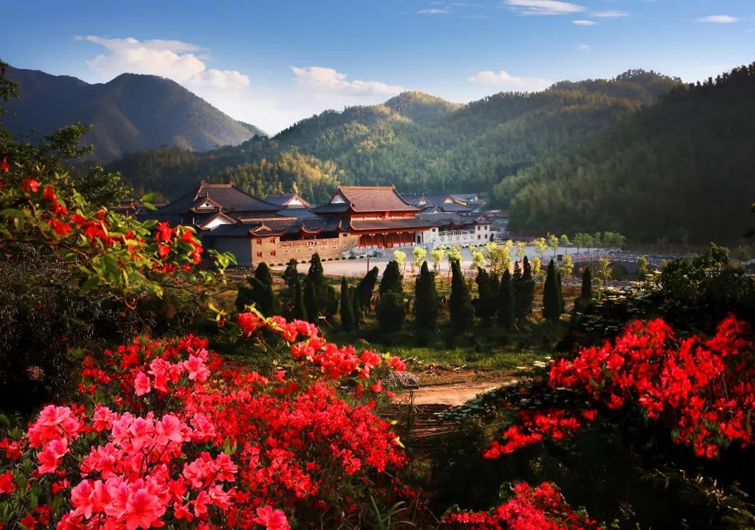 整整一个月宜春25家景区面向学生免费畅玩