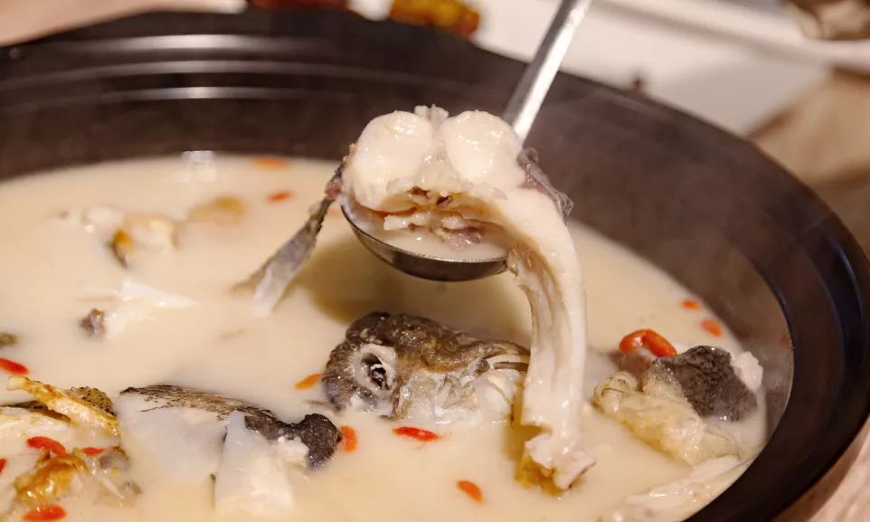 行走中的胶原蛋白舌尖上的养生秘诀岁月八珍鱼