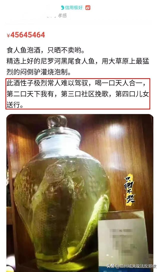 没有什么能够阻挡泡酒狠人的网络入侵