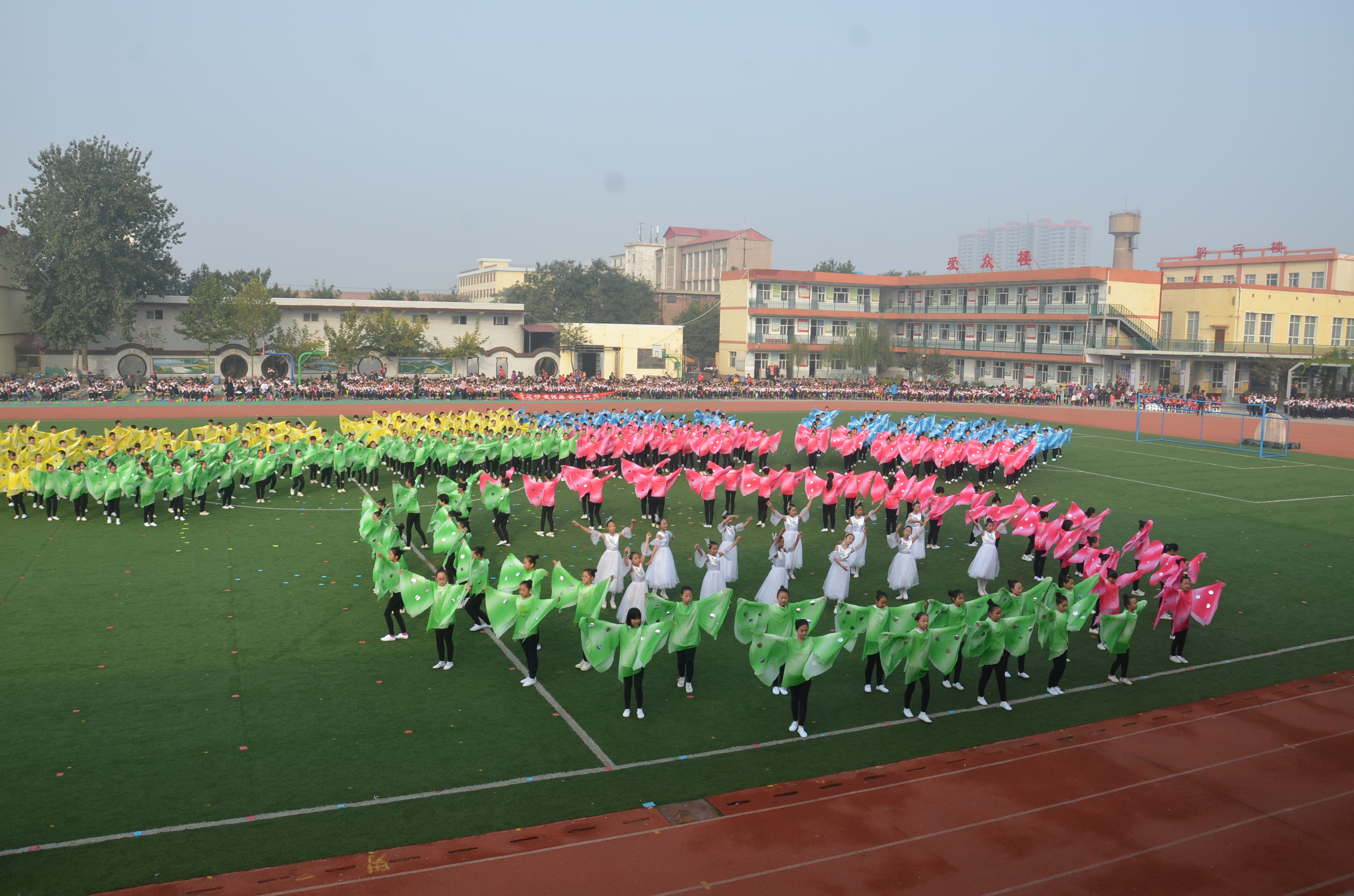 赵县石塔实验学校图片