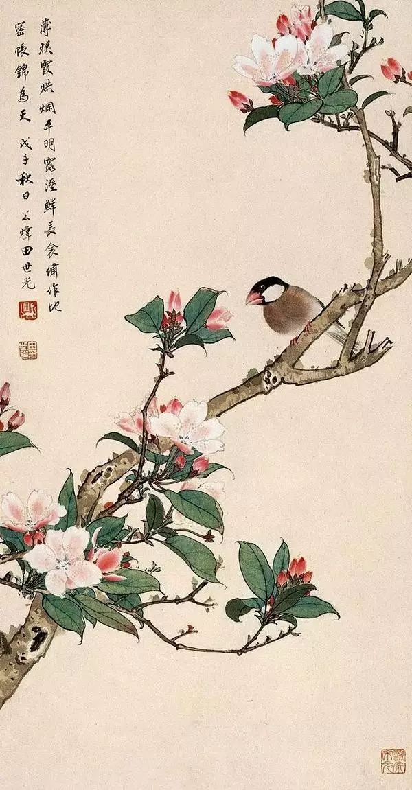 分享一组超美花鸟工笔画真是大饱眼福