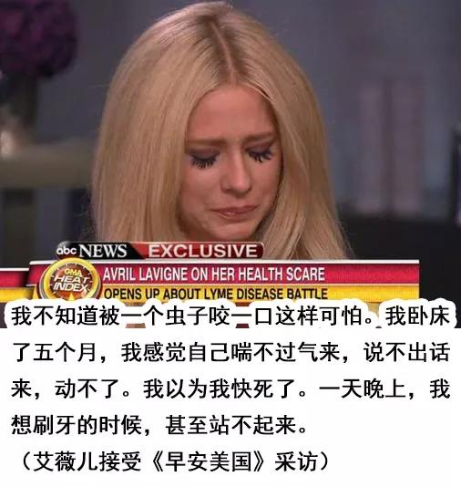 危机四伏击倒比伯和艾薇儿的莱姆病可能就在你身边