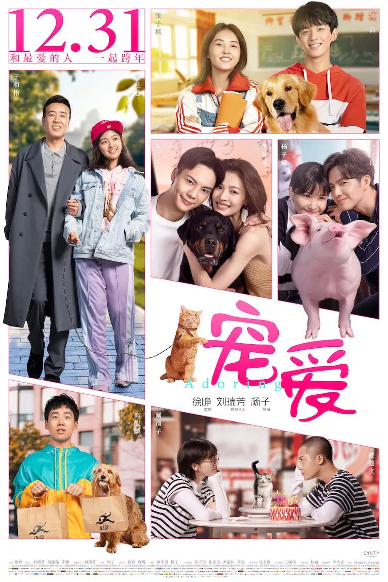 2.《宠爱》 影评9.2分