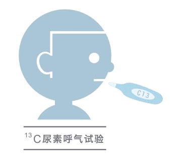 酶实验,组织学检查和 hp 的培养;后者主要有 13c 或 14c 尿素呼气试验