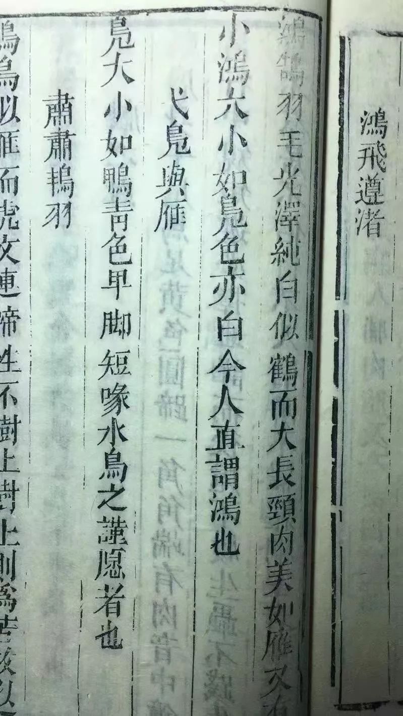 (晋)崔豹的《古今注》说:"雁自河北渡江南,瘦瘠能高飞,不畏缯缴.